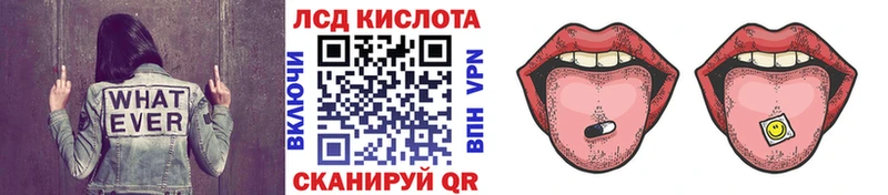 shop как зайти  что такое наркотик  Западная Двина  Наркотические марки 1,5мг 