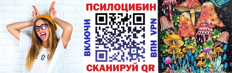 нарко площадка клад  где купить   Западная Двина  Галлюциногенные грибы Psilocybine cubensis 